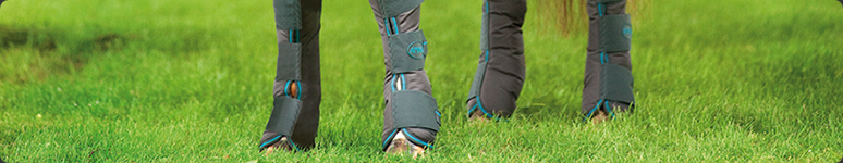 Boots & Bandages